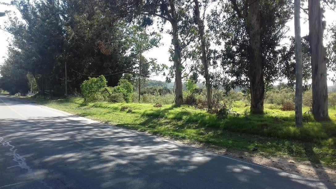 960 m2. en Miramar Acres 